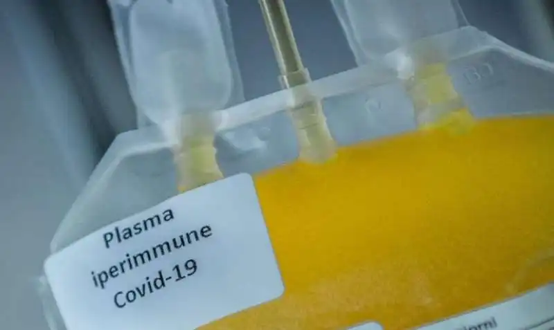 coronavirus   plasma 2