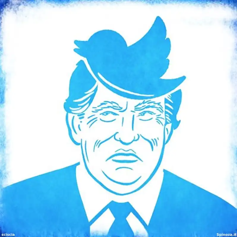 DONALD TRUMP TWITTER BY SPINOZA