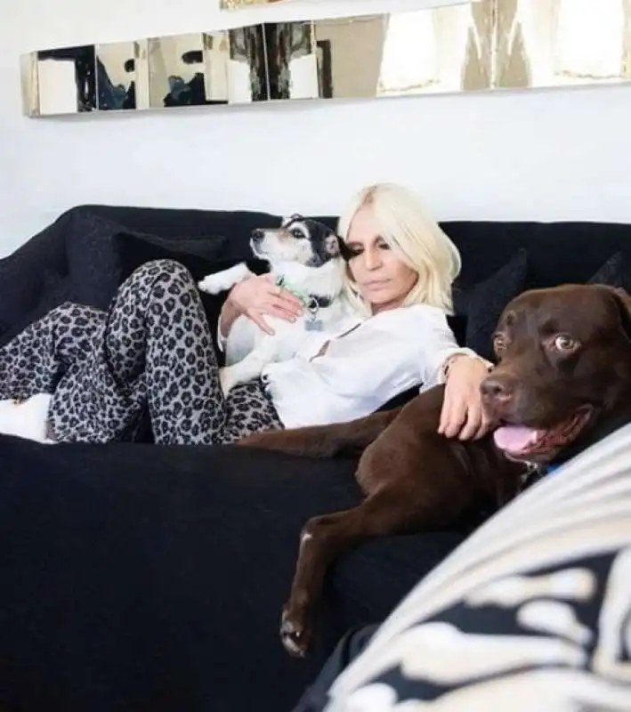 donatella versace con i suoi cani in quarantena