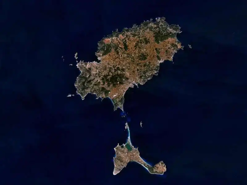 ibiza 5