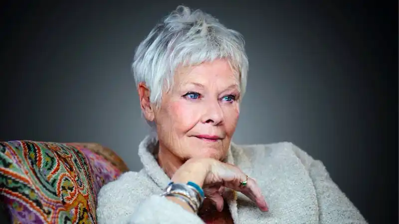 judi dench 