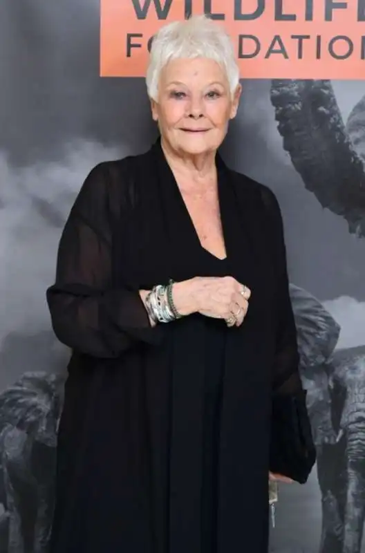 judi dench 7