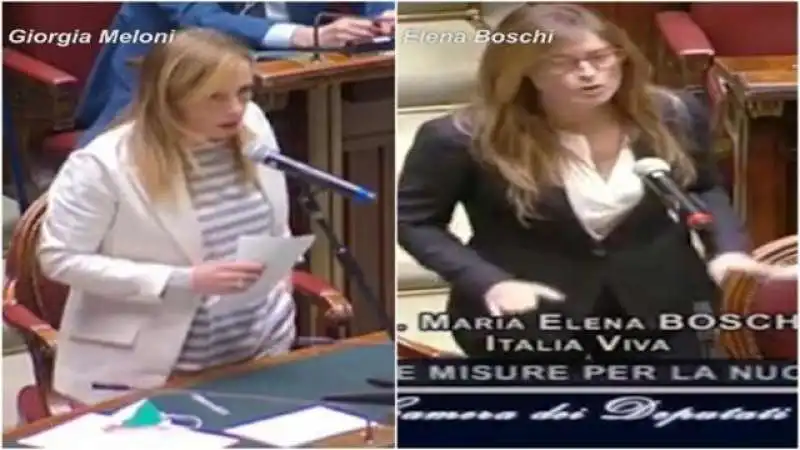 meloni boschi