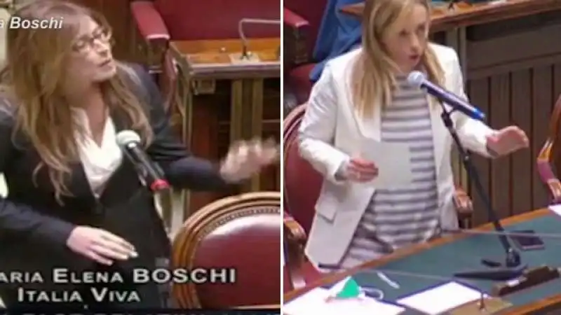 meloni boschi 8