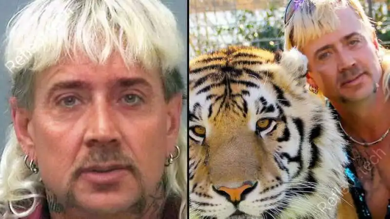  nicolas cage tiger king fotomontaggio1