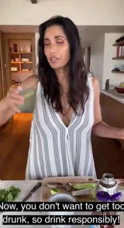 padma lakshmi 3