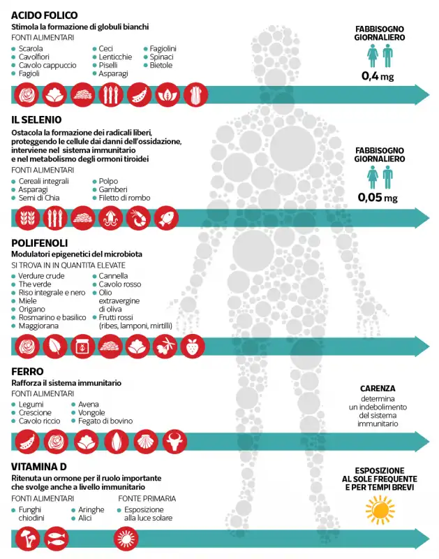 sistema immunitario e dieta 3