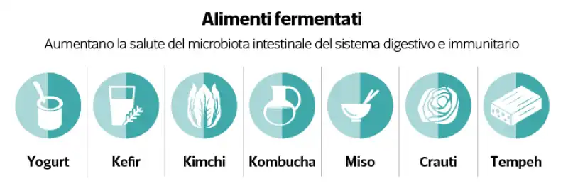 sistema immunitario e dieta 4