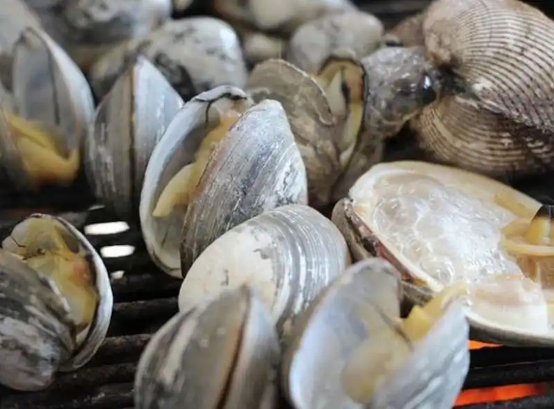  vongole 1