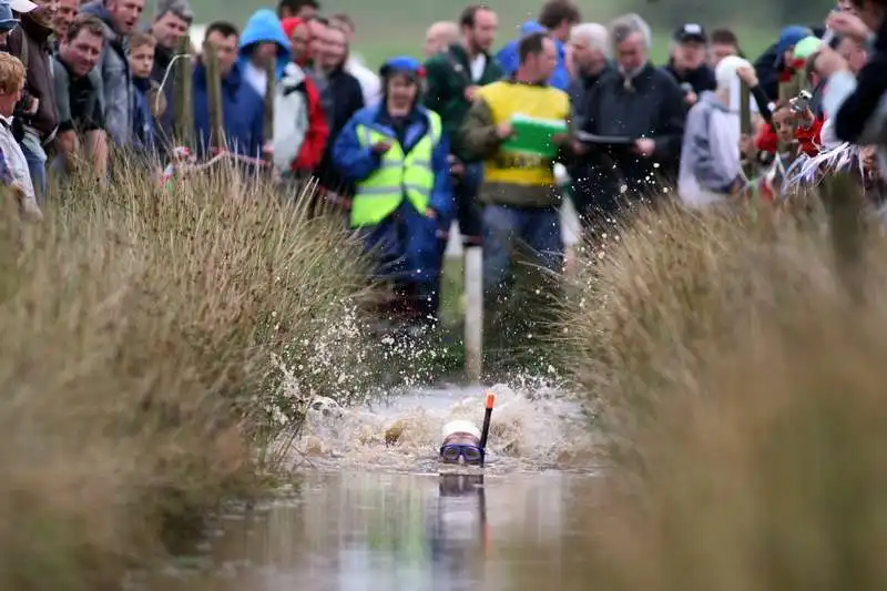 world bog snorkelling championship