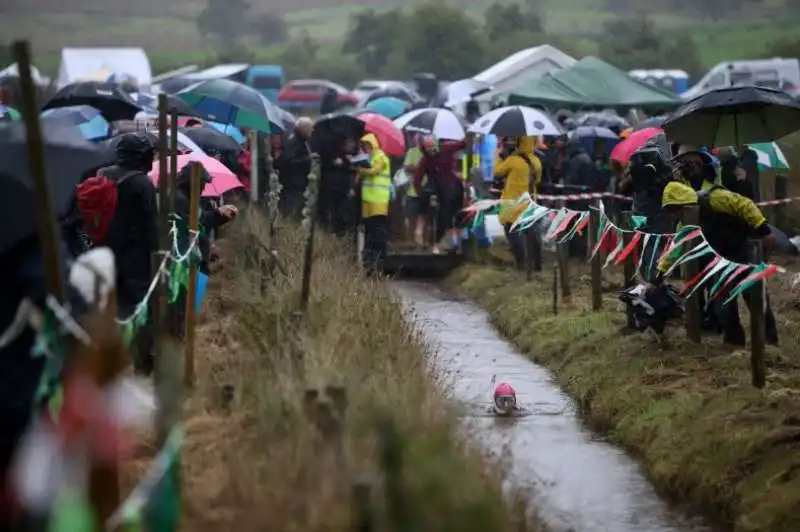 world bog snorkelling championship 5