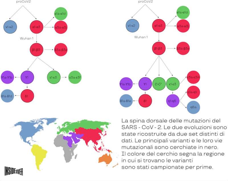 ALBERO GENEALOGICO DEL COVID