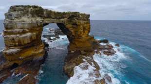 arco di darwin alle galapagos 4