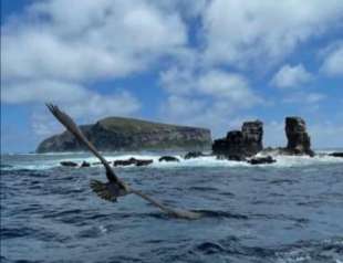 arco di darwin alle galapagos 8