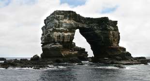 arco di darwin alle galapagos 9