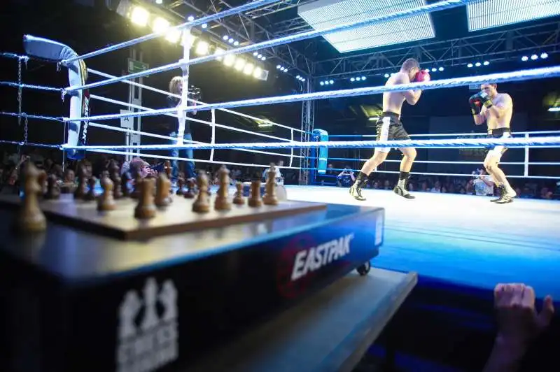 chess boxing 6