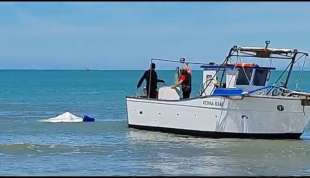 fiumicino pescatore attaccato da squalo 8