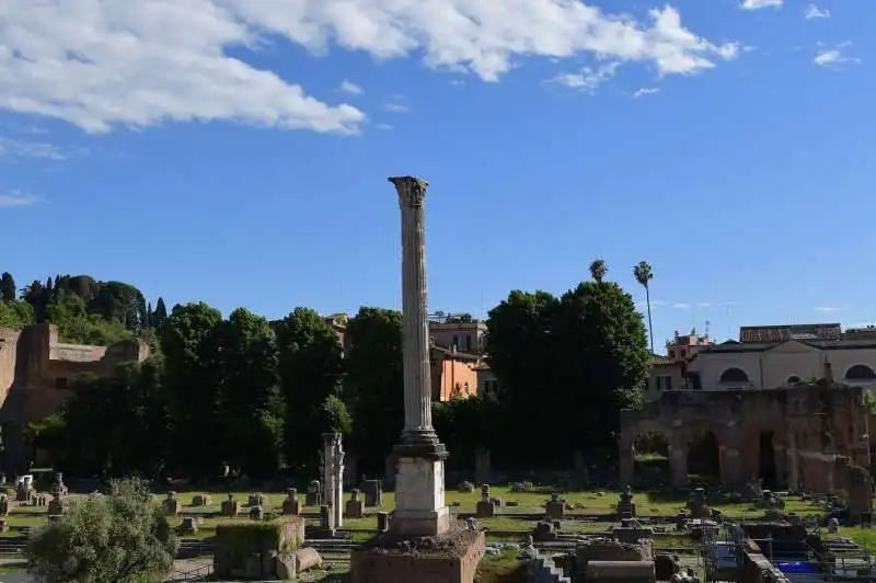 foro romano  foto di bacco (1)