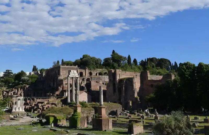 foro romano  foto di bacco (2)