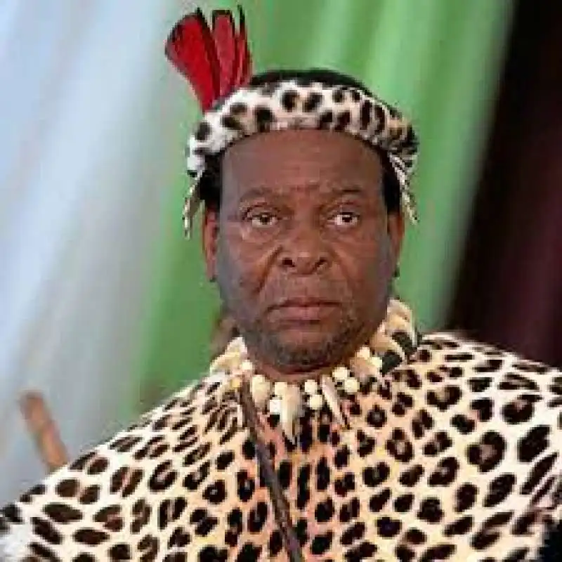 goodwill zwelithini