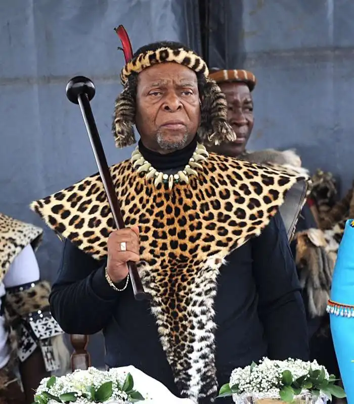 goodwill zwelithini 2