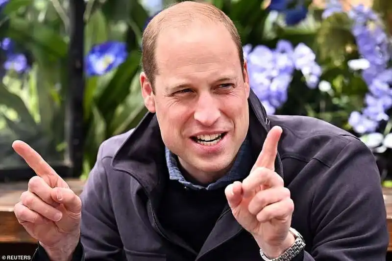 il principe william  