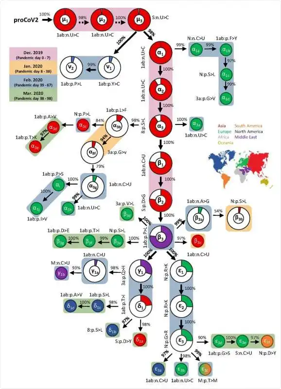 mappatura profilo evolutivo sars cov 2