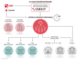 nuova organizzazione