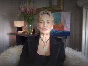 sharon stone alla tv francese 1