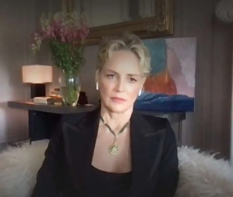 sharon stone alla tv francese 3