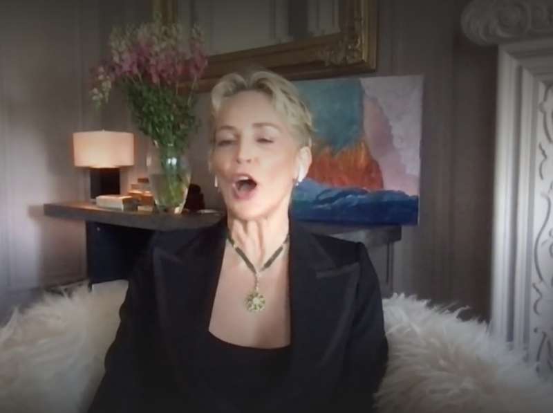 sharon stone alla tv francese 4