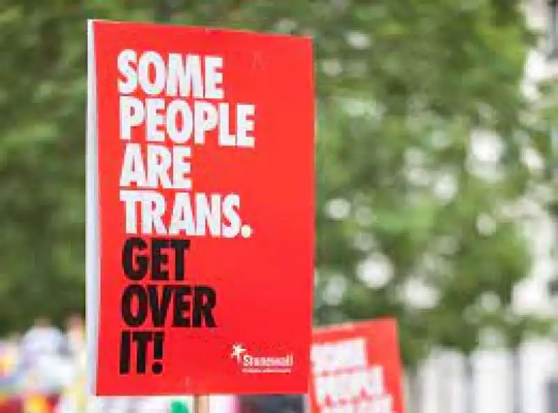 stonewall trans