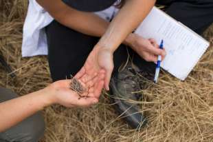 studenti al new cowgirl camp