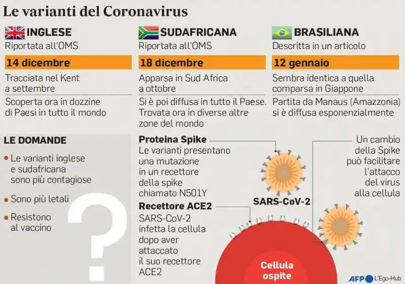 varianti covid 4