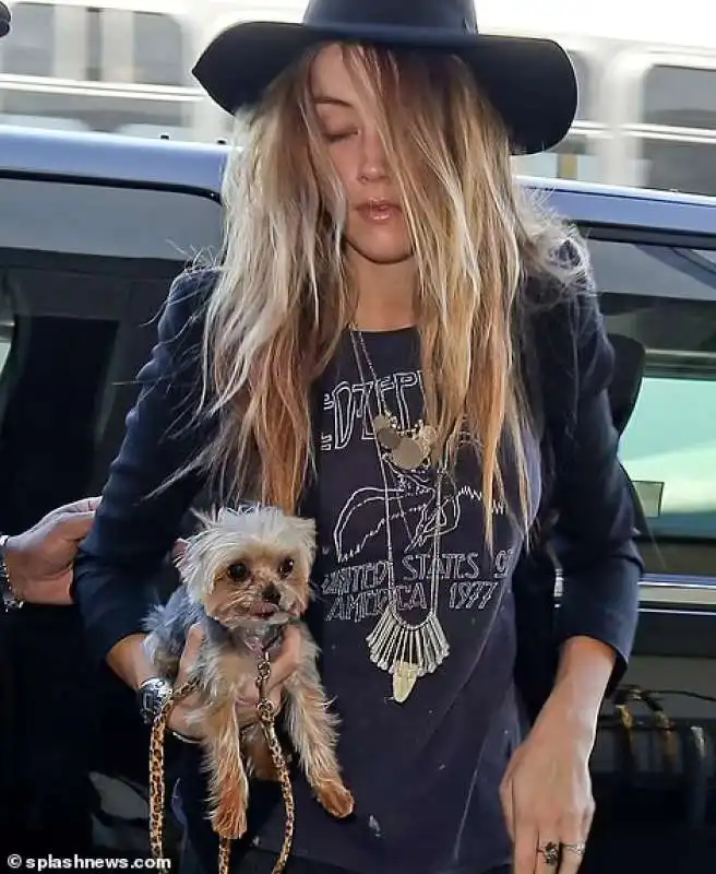 amber heard con il cane