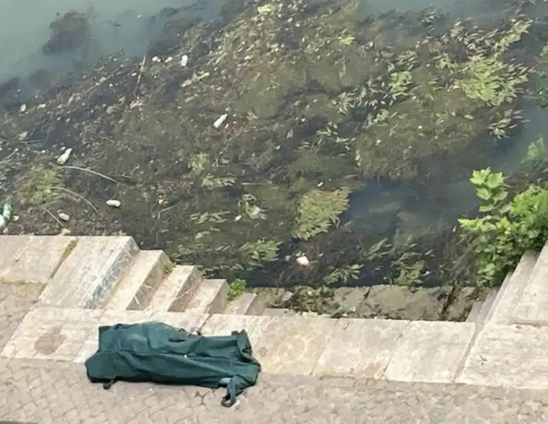 cadavere ritrovato nel tevere  1