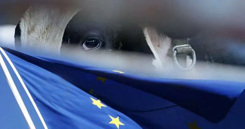 commissario europeo per il benessere animale 