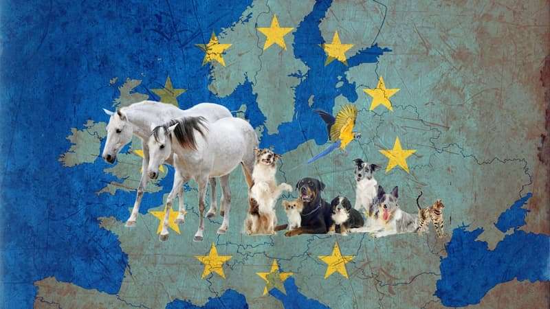 commissario europeo per il benessere animale