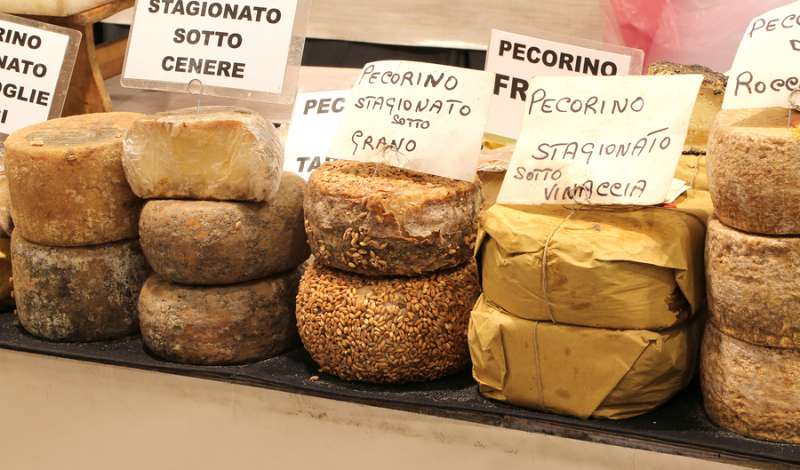 diverse stagionature del pecorino