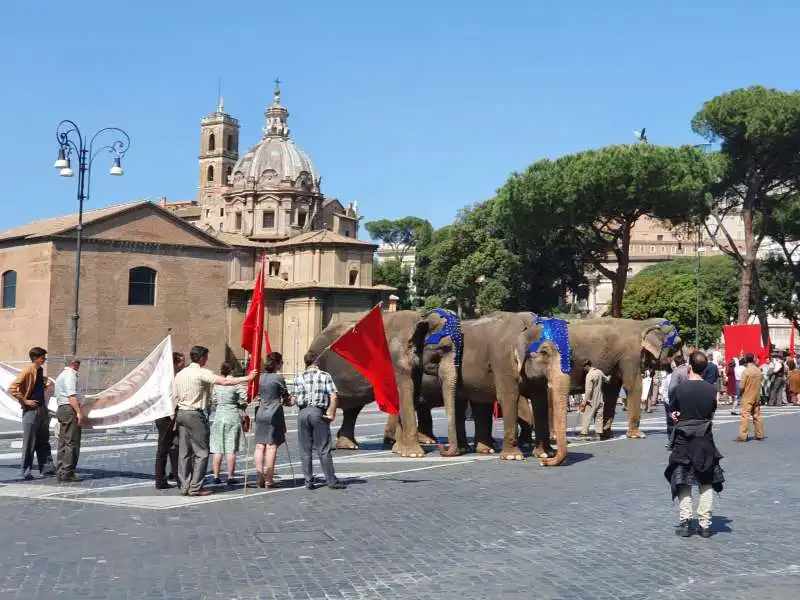 ELEFANTI AI FORI IMPERIALI PER IL FILM IL SOLE DELL'AVVENIRE DI NANNI MORETTI