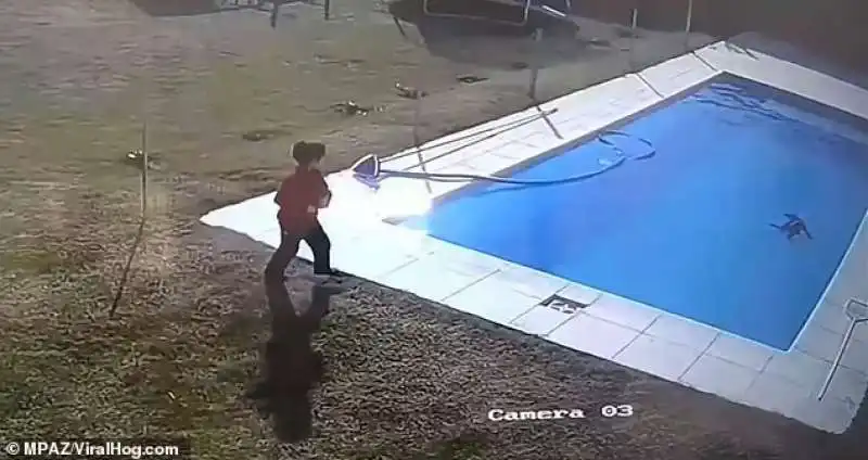 Il bambino vede il cane nella piscina