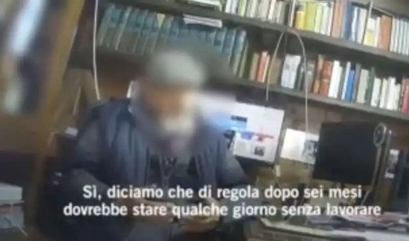 il video dell allevatore di tigri a latina 12