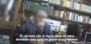 il video dell allevatore di tigri a latina 4