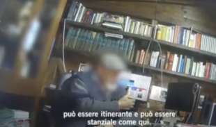 il video dell allevatore di tigri a latina 5