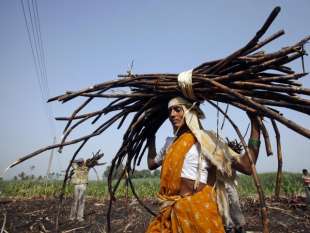 lavoratrici agricole senza utero in india 8