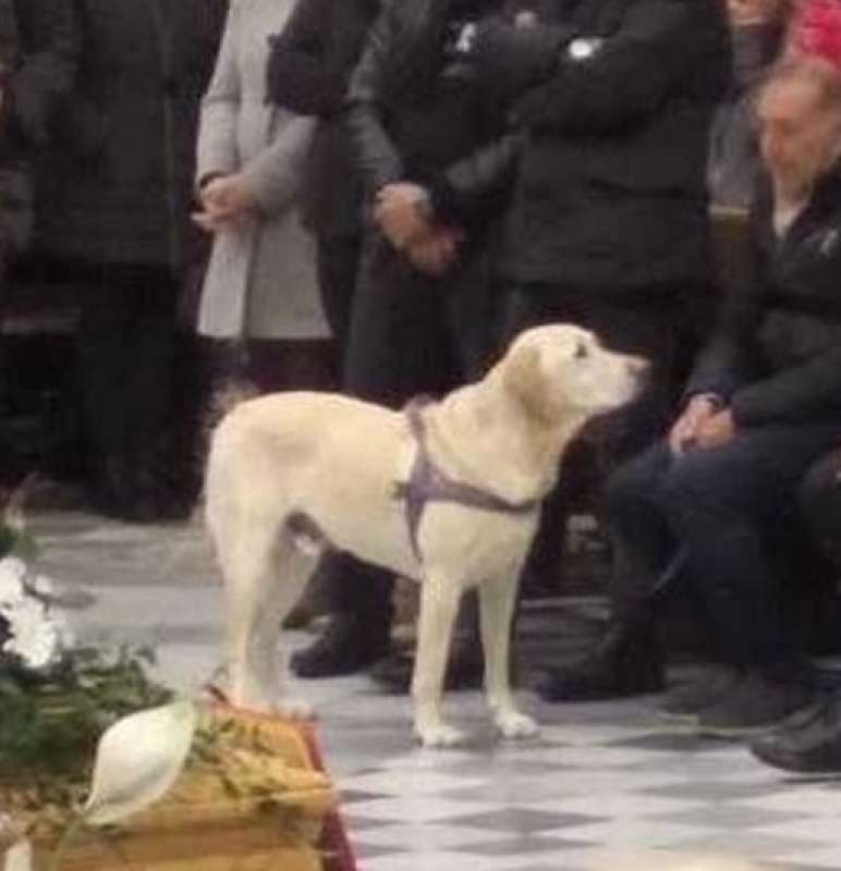 MARLEY IL CANE DI JACOPO SILVESTRI AL SUO FUNERALE