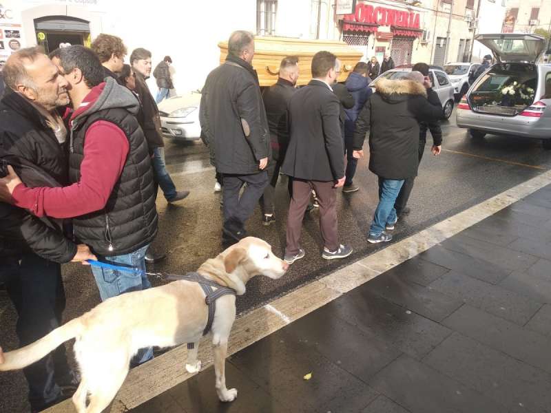 MARLEY IL CANE DI JACOPO SILVESTRI AL SUO FUNERALE