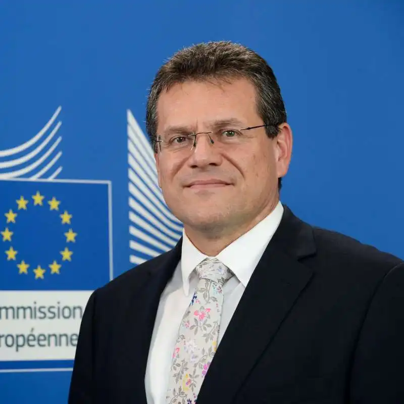 MAROS SEFCOVIC