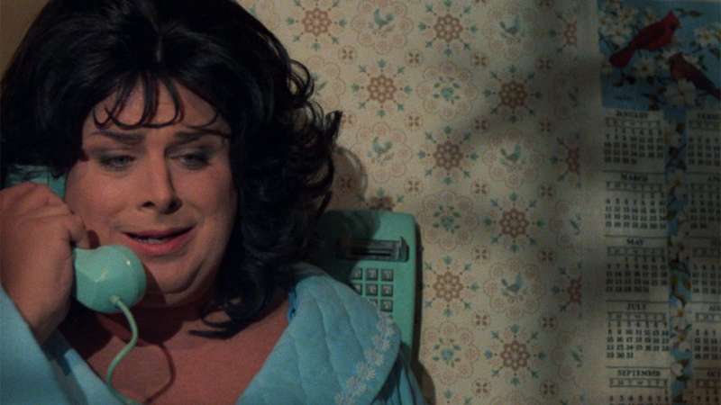 polyester di john waters