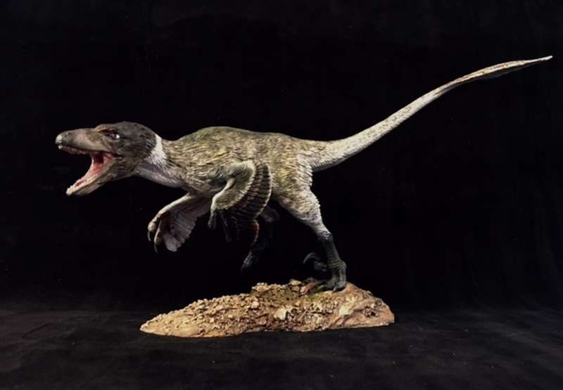 ricostruzione del velociraptor hector